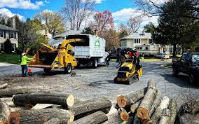 Best Weed Control  in Blacksburg, VA