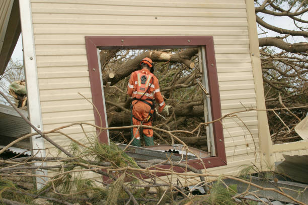 Best Hazardous Tree Removal  in Blacksburg, VA