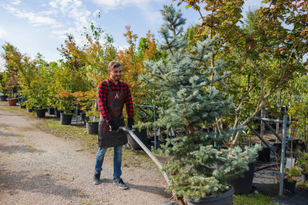 Best Leaf Removal  in Blacksburg, VA
