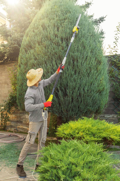 Best Soil Testing and Treatment  in Blacksburg, VA
